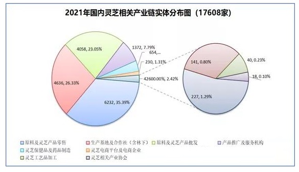 2025 Ganoderma Market Outlook: Asia Maintains Dominant Position in the Global Ganoderma Market